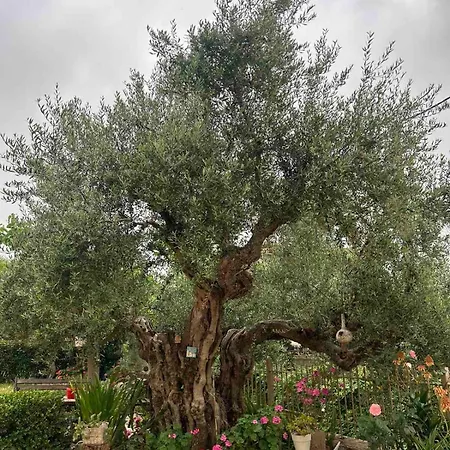Garden House Kalamata