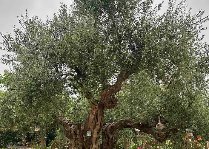 Garden House Calamata